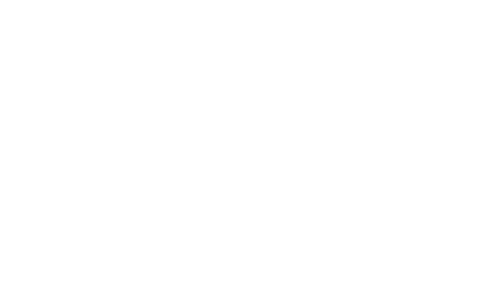Clever-Logo-White-2